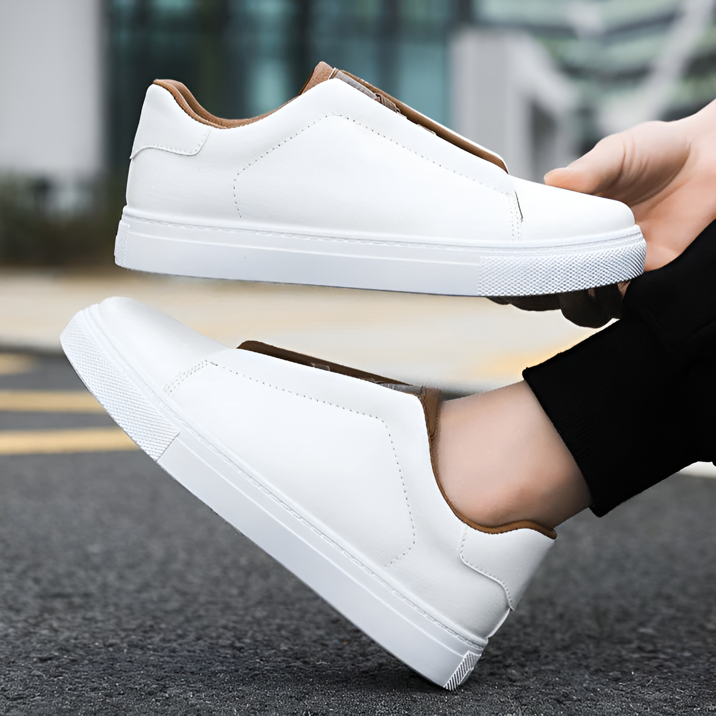 Bernardo | Elegant Trainers