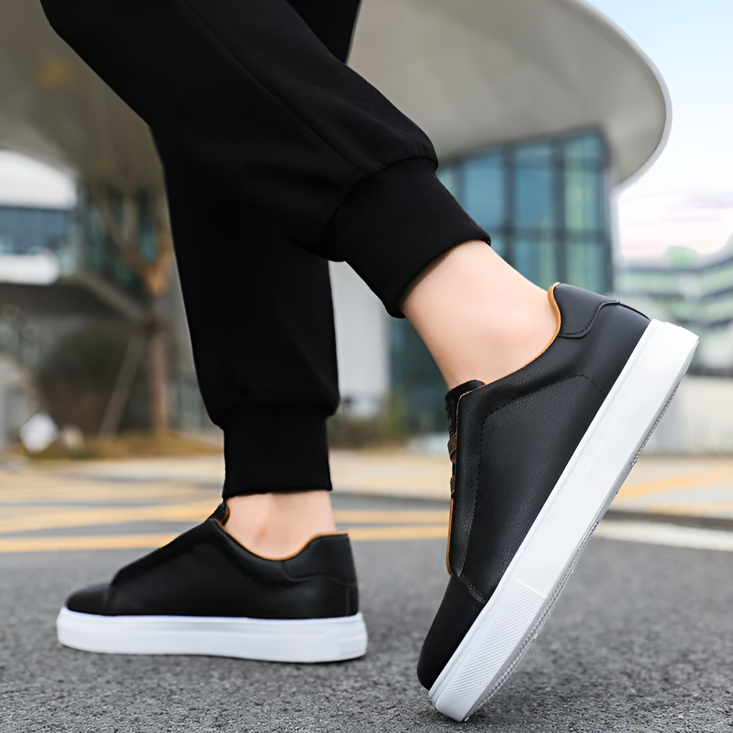 Bernardo | Elegant Trainers
